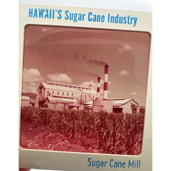Vintage Pineapple & Sugar Cane Industries GAF Pana-Vue Travel Slides Hawaii - Picture 11 of 11